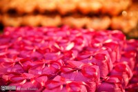 /album/galeria-de-fotos-monica-cerimonialista2/a4305964110-2b69c1d97a-o-1-jpg/